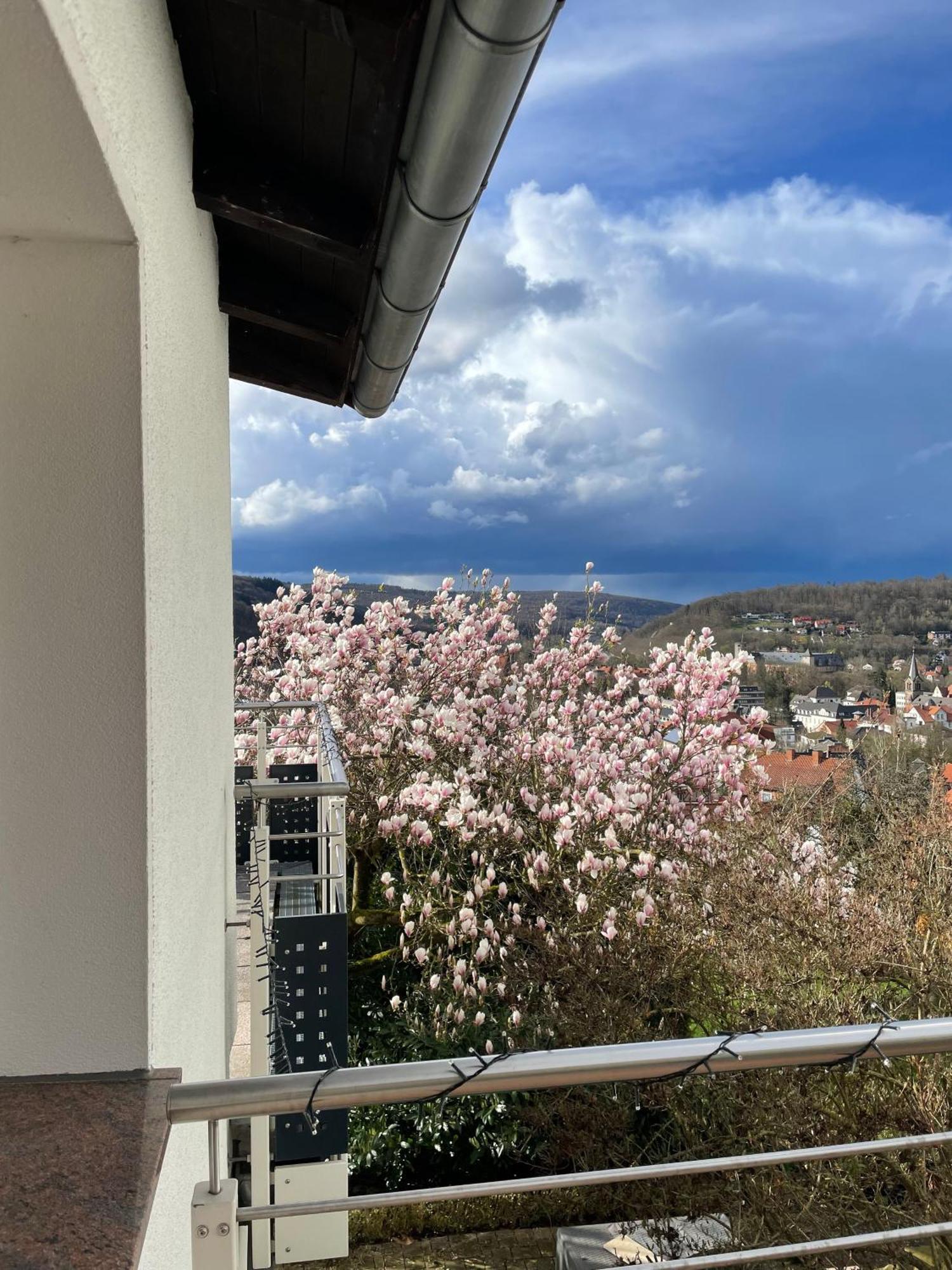 Ferienhaus Chalet Andante Hannoversch Münden Екстериор снимка